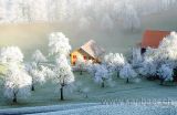 Rauhreif / Hoarfrost (6402)