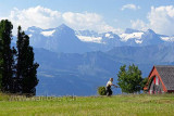 Rigi Scheidegg (77070)