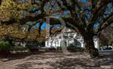 Jardim na Praça de D. Luís