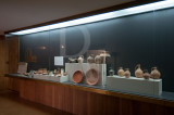 Museu Arqueológico da Citânia de Sanfins