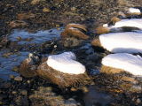 First snow on the shore.jpg