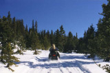 1996 - Karen zooming along on snowmobile near Breckenride
