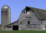 Lynden 7