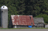 Sedro-Woolley Barn
