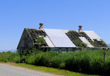 Skagit County Barn