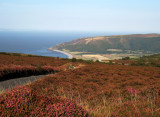 Exmoor -3