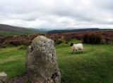 Dartmoor -5