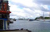 Bergen harbour