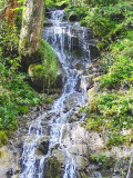 A SMALL WATERFALL   567