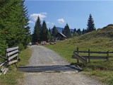 LOOKING BACK TO THE NAGGLER ALM