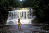 Maliau Falls.jpg