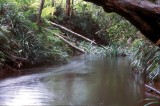 Stream at Camel Trophy camp.jpg