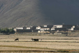 Tibetan-Village.jpg