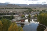 IMG_0100.jpg