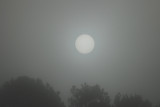 Sunrise In The Fog