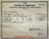 Birth Certificate