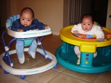 歡歡玩 Exersaucer, 聚聚坐學步機
