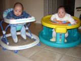 歡歡玩 Exersaucer, 聚聚坐學步機