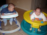 歡歡玩 Exersaucer, 聚聚坐學步機