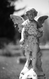walking angel