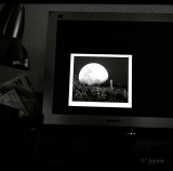 midnight madness in analog