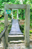 5 - Forest Bridge.jpg