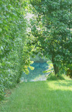 Path to the Lake