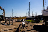 The Marina