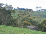 Crater and vulcano landscape