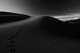 DSC_9586_BW Great Sand Dunes