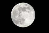 IMG_0466.JPG