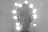 Buddha Enlightened III