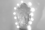 Buddha Enlightened VII