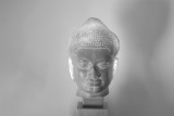 Buddha Enlightened XII