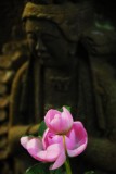 Flower with Buddha