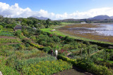 Inverewe Gardens