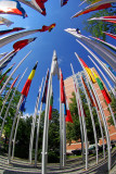 Fisheye Flags