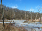 Along the Towpath