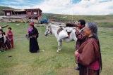 Tibet