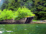 abandoned boat Sitka Alaska.