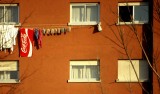 coke at  window