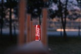 coke