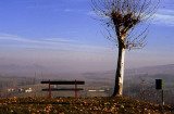 Alba -Langhe - Italy
