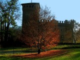 the Tree and the Castle