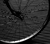 Lines b&w