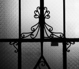 Lines b&w