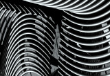 Lines b&w