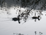 Lake Sirio - Italy