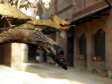Turin - Medieval village