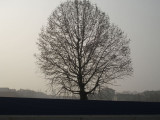 Turin - The slice of Polenta